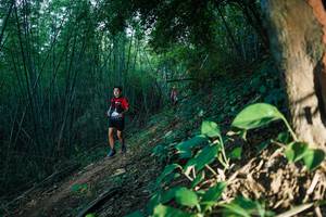 BIB: 
                            <button type="button" onclick="openModal(28124627)" class="btn btn-primary btn-sm float-right btn-popup" data-toggle="modal" data-target=".modal-high-quality">
                        <i class="fas fa-shopping-cart"></i> Add to Cart
                    </button>
                                            <button type="button" onclick="isThisMe(28124627, true)" class="btn btn-success btn-sm float-right btn-popup btn-isme hidden" data-toggle="tooltip" data-placement="bottom" title="นี่คือรูปของคุณใช่ไหม คลิกที่นี่เพื่อเอาเข้าอัลบั้ม">
                        <i class="fas fa-plus"></i> Add to album
                    </button>
                    <button type="button" onclick="isThisMe(28124627, false)" class="btn btn-warning btn-sm float-right btn-popup btn-isnotme hidden">
                        <i class="fas fa-ban"></i> Remove from album
                    </button>